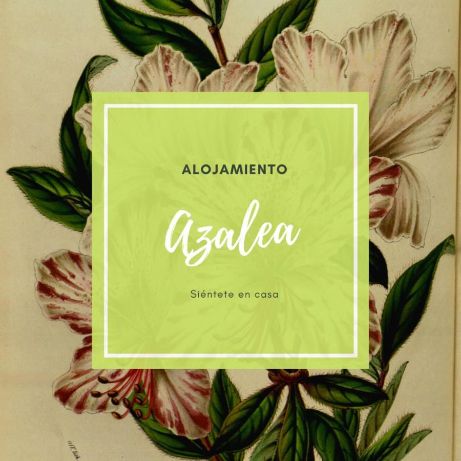 Atico Azalea - Corazon Del Carmen, Doble Balcon, Wifi Apartment Мурсия Екстериор снимка